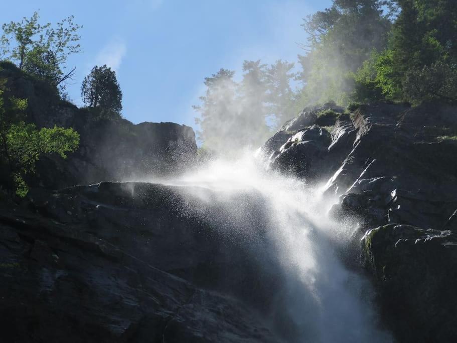 "Le Desman" Confortable T2 A La Montagne Face Aux Thermes Rando, Cure オリュ・レ・バン エクステリア 写真