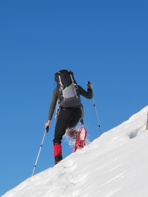 "Le Desman" Confortable T2 A La Montagne Face Aux Thermes Rando, Cure オリュ・レ・バン エクステリア 写真