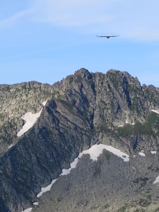 "Le Desman" Confortable T2 A La Montagne Face Aux Thermes Rando, Cure オリュ・レ・バン エクステリア 写真