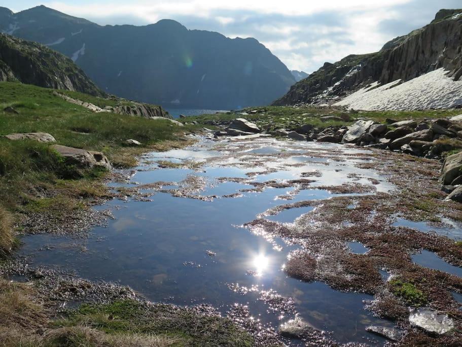 "Le Desman" Confortable T2 A La Montagne Face Aux Thermes Rando, Cure オリュ・レ・バン エクステリア 写真
