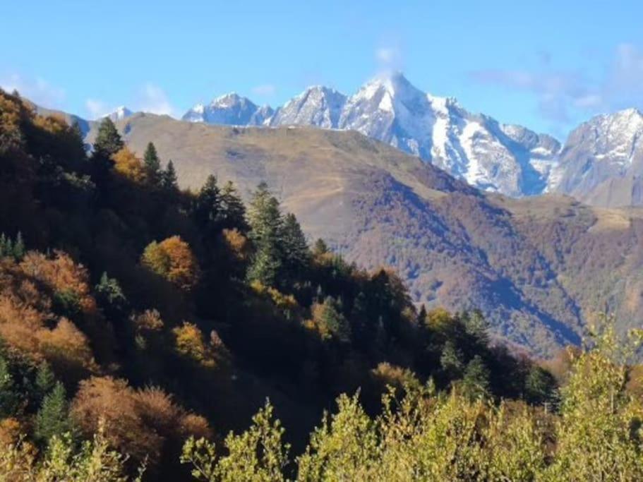 "Le Desman" Confortable T2 A La Montagne Face Aux Thermes Rando, Cure オリュ・レ・バン エクステリア 写真