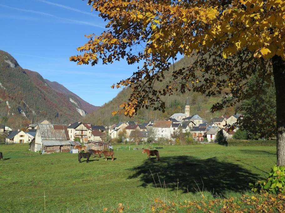 "Le Desman" Confortable T2 A La Montagne Face Aux Thermes Rando, Cure オリュ・レ・バン エクステリア 写真
